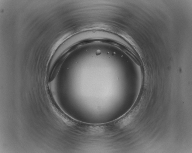 X0000063460850200601201244