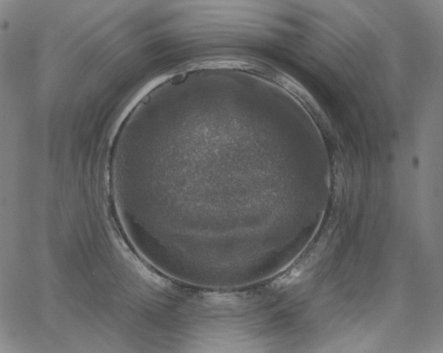 X0000063460852200601201244