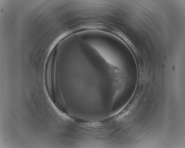 X0000063460853200601201244