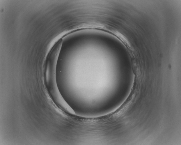 X0000063460854200601201244