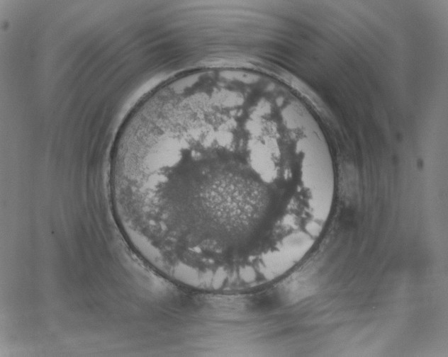 X0000063460856200601201244