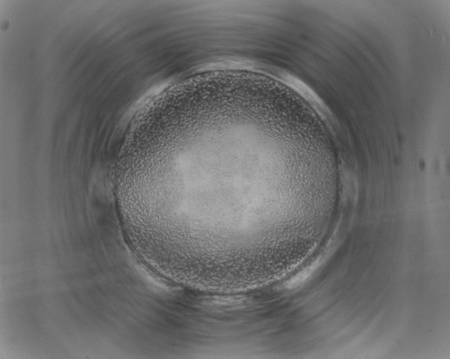 X0000063460857200601201244