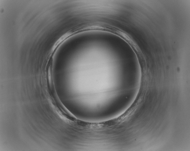 X0000063460858200601201244