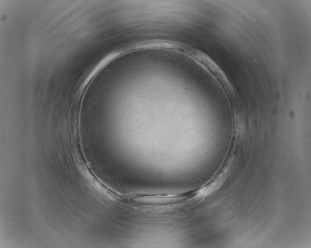 X0000063460860200601201244