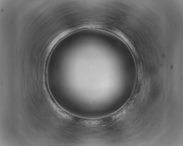 X0000063460861200601201244