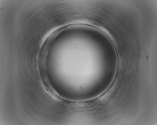 X0000063460862200601201244