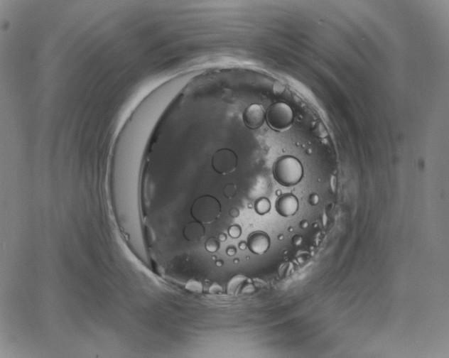 X0000063460863200601201244