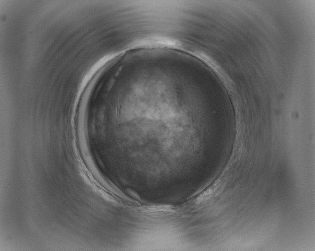 X0000063460864200601201244