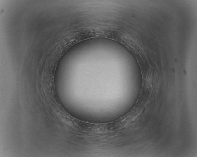 X0000063460865200601201243