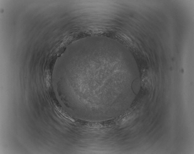 X0000063460866200601201243