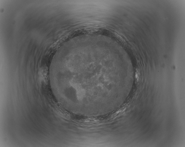 X0000063460867200601201243