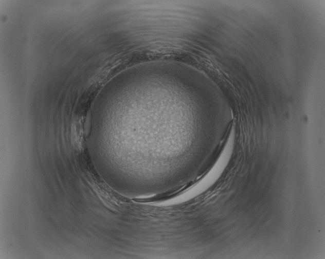 X0000063460868200601201243