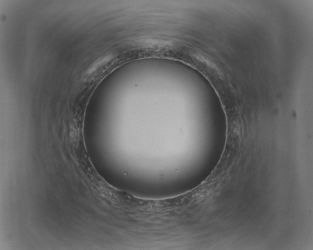 X0000063460869200601201243