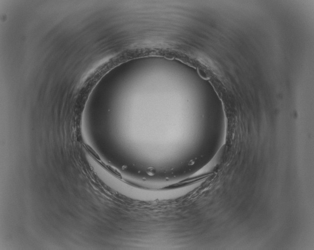 X0000063460872200601201243