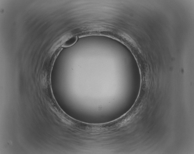 X0000063460873200601201243