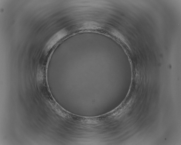 X0000063460874200601201243