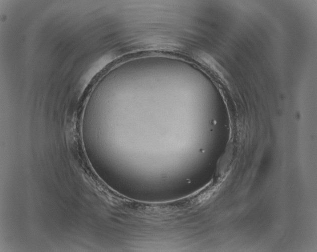 X0000063460875200601201243