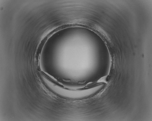 X0000063460876200601201243