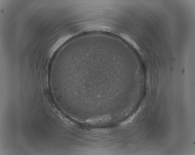 X0000063460877200601201243