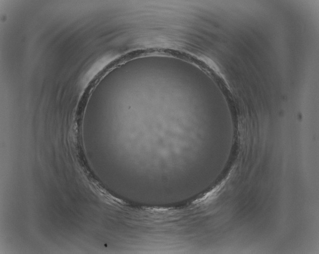 X0000063460879200601201243