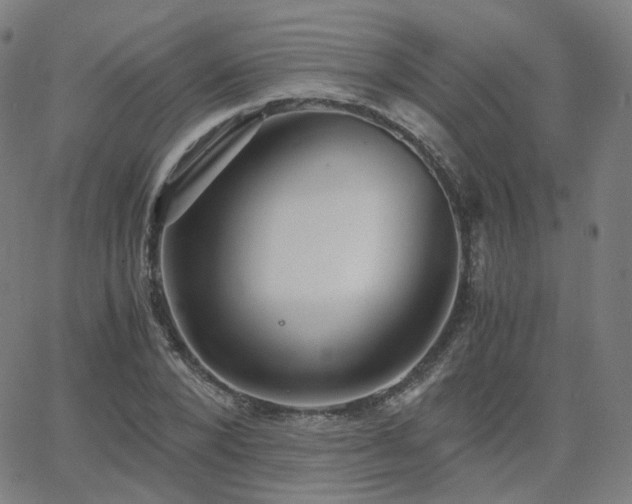 X0000063460880200601201243