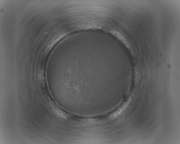 X0000063460881200601201243