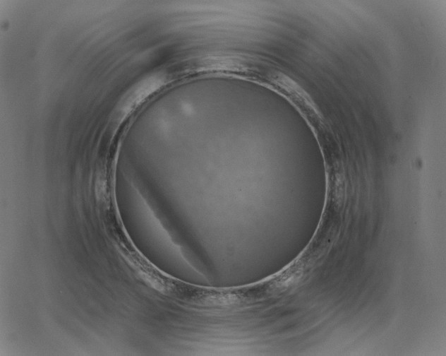 X0000063460882200601201243