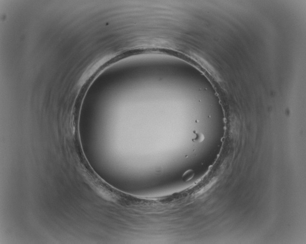 X0000063460885200601201243