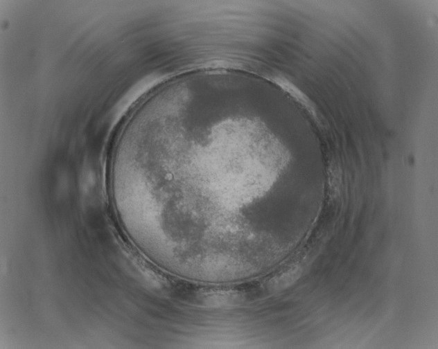 X0000063460886200601201243