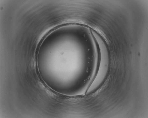 X0000063460888200601201243