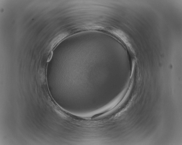 X0000063460889200601201243