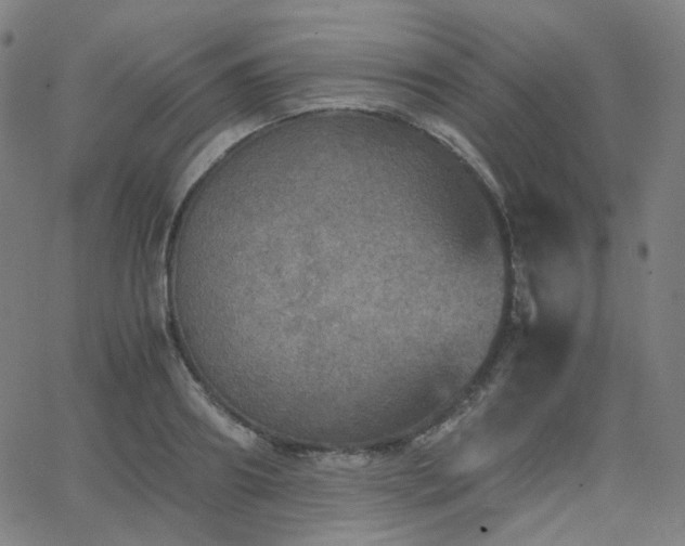 X0000063460890200601201243