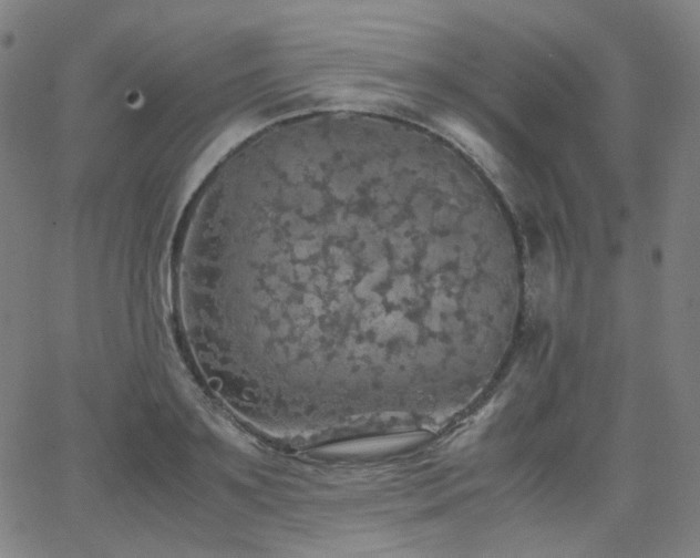 X0000063460891200601201243