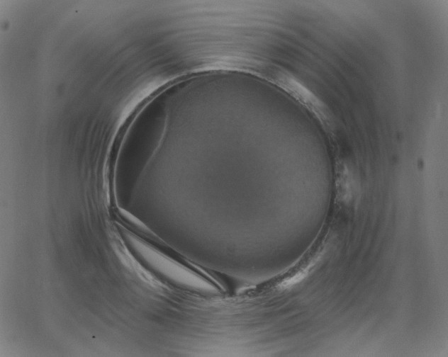 X0000063460892200601201243