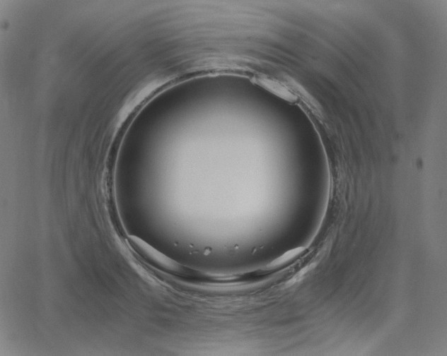 X0000063460893200601201243