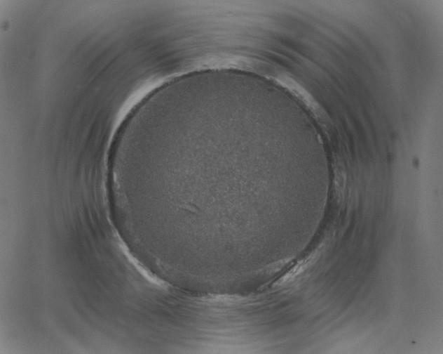 X0000063460894200601201243