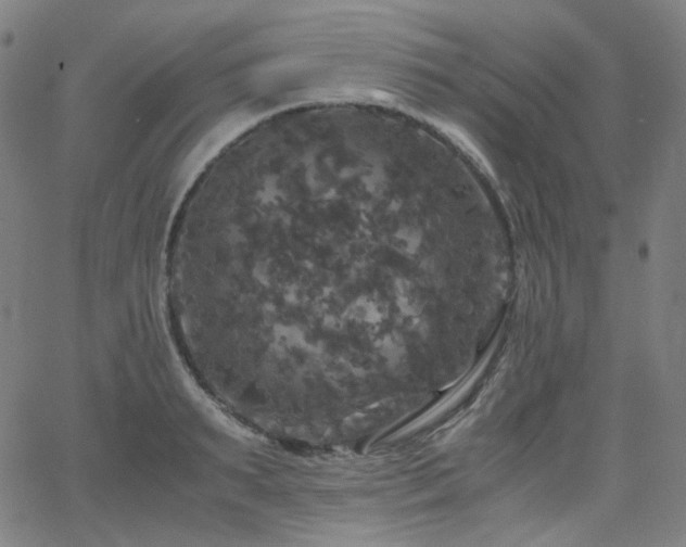 X0000063460895200601201243