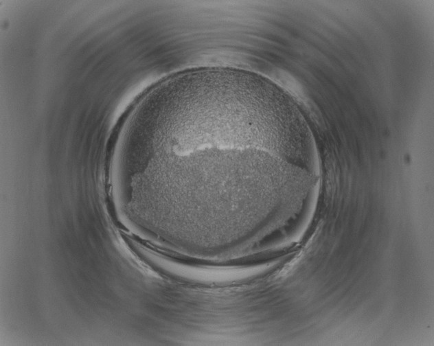 X0000063460896200601201243