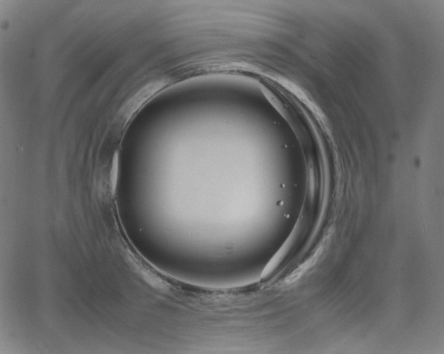 X0000063460897200601201243