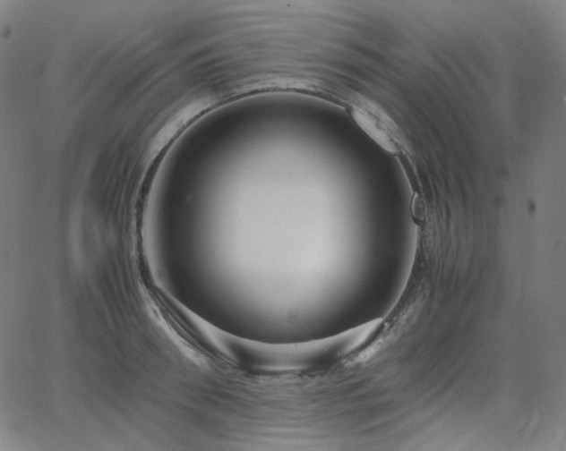 X0000063460898200601201243