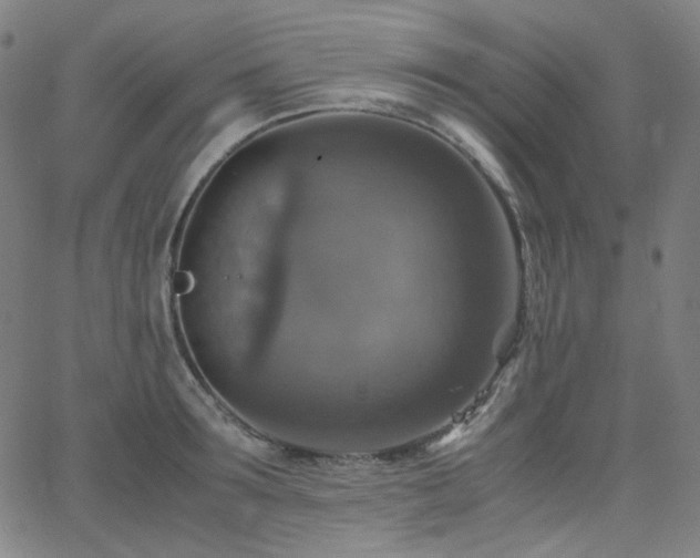 X0000063460899200601201243