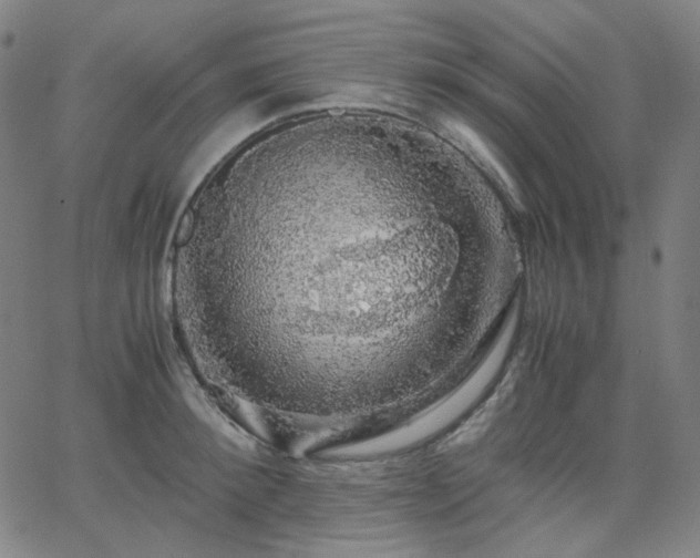 X0000063460900200601201243