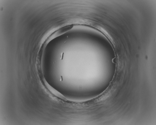 X0000063460901200601201243