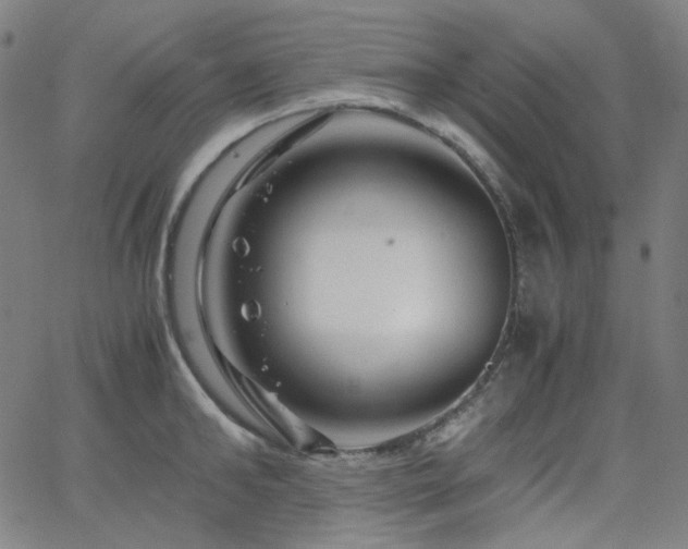 X0000063460902200601201243