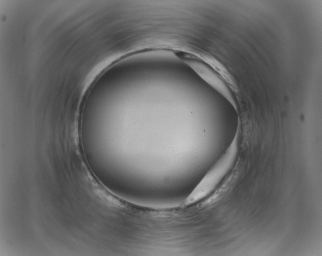 X0000063460904200601201243