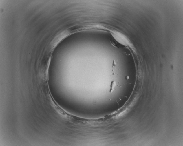 X0000063460905200601201243