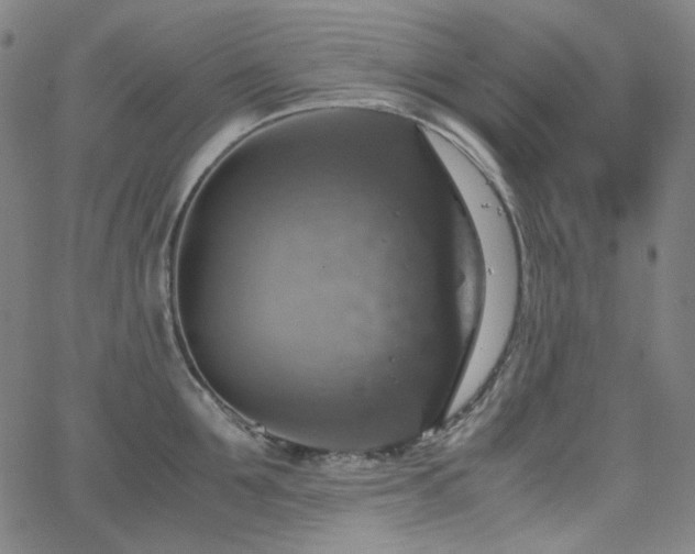 X0000063460907200601201243