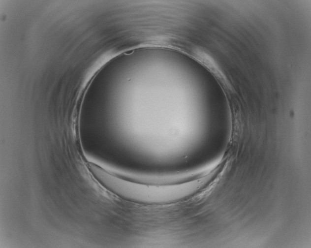 X0000063460908200601201242