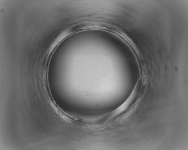 X0000063460909200601201242