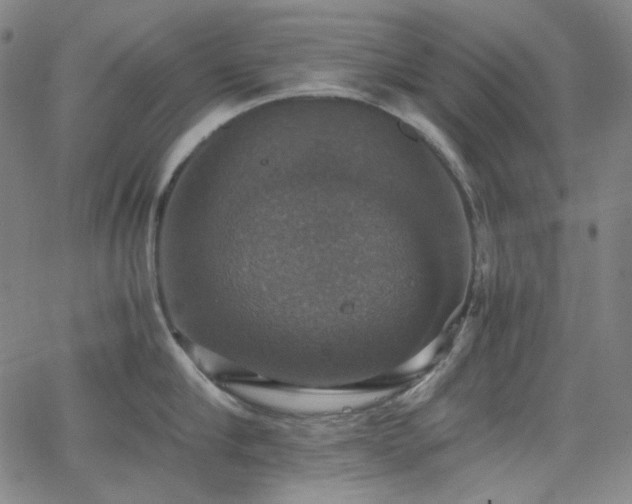 X0000063460910200601201242